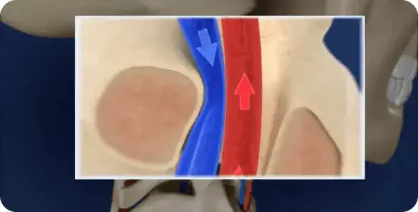 Cardiobalance, Cardio balance, cardio balance comprar, cardiobalance comprar, cardio balance onde comprar, cardiobalance onde comprar, cardiobalance preço, cardio balance preço, cardio balance review, cardiobalance review, cardio balance é bom, cardiobalance é bom, cardio balance funciona, cardiobalance funciona